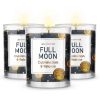 Magnificent 101 Set of 3 Long-Lasting Full Moon Aromatherapy Candles 10.5 Oz - 42-Hour Burn 100% Soy Wax, Herbs Ideal for Meditation, House Energy Cle